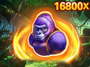 Kong icon